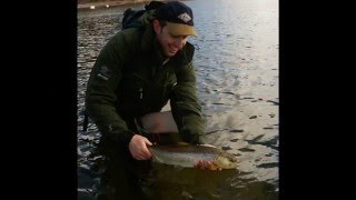 Mariager Fjord - muligheder og trusler!
