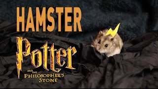 Hamster Potter and the Philosophers Stone