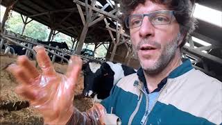 Je patauge dans le caca des vaches et c'est pour leur bien! Diagnostic BEA 1