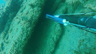 Горбыль - 2018г. Подводная охота в Крыму.
