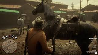 Red Dead Redemption 2: Crazy Horse Scene
