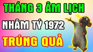 Cuộc Đời Tuổi Nhâm Tý 1972 Phúc Lộc Vô Biên, Tiền Tiêu Thả Ga Từ Nay Đến Hết Tháng 3 Âm Lịch