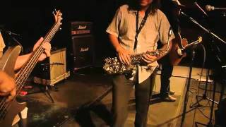 Revolución Zebra - Cumbia Tijuana