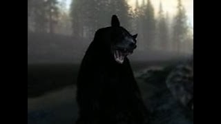 The Hunter - Нападение медведя на охоте