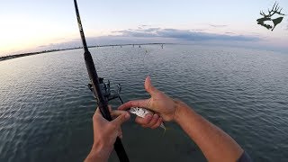 Рыбалка в Черном море, ловля ставриды на самодур. Часть 1