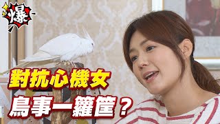 《多情大爆爆》多情城市 EP174 對抗心機女 鳥事一籮筐？