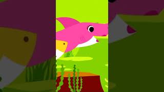 Baby Shark Doo Doo Doo #shorts | Original Baby Shark 