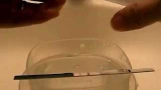 Prank Pregnancy Test Strips/ How to fake a pregnancy test to become positive?/joke pregnancy test