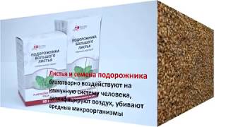 подорожник