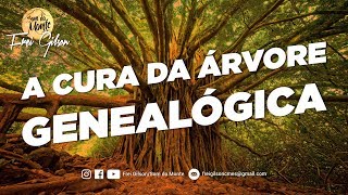 Frei Gilson/Pregação - A Cura da Árvore Genealógica