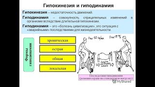Гипокинезия, гиподинамия, синдром хронической усталости
