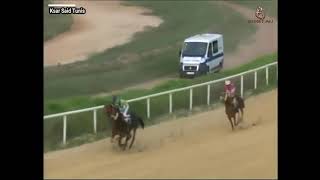 PRIX AMEUR GHALI (GR.2) 2019 Vainqueur Ithar.