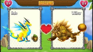 Electric Dragon vs Terra Dragon | Dragon City [Exclusive Breeding]