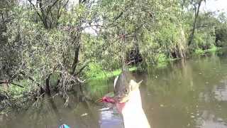 Gold Coast Bass Fishing: Imakatsu - Fujin Spider