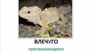 Болгарский язык -- Словарь -- часть 4