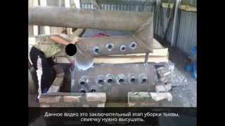 Ч 4 Уборка тыквы (гарбуза) сушилка для семечек Харьков. Combine pumpkin