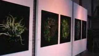Artist Uses Computers, Viruses to Create Art