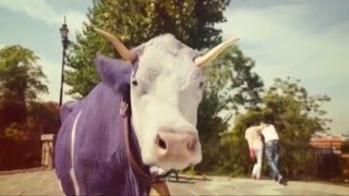 (2016) Milka TUC и Milka LU (шоколад-печенье) - Неожиданно нежное сочетание