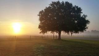 Sebastian Davidson & Lemon Popsicle - Sunday Morning [Lemon Popsicle Remix]