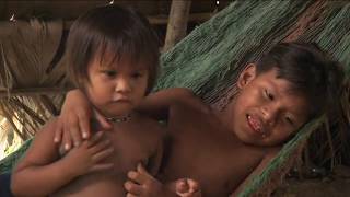 Guarani The People Of The Selva