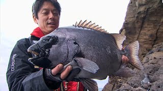 #192 穂先に伝わる魚の鼓動！長崎県五島列島でイシダイ釣り