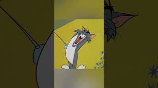 Tom y Jerry en Español ???????? | ¡Hora de la batalla! ️ | #shorts | @WBKidsEspana