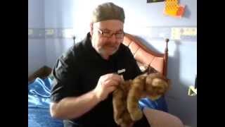 Charlie Bears & Steiff Bears