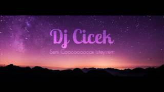 Dj Cicek - Men yalniz deyilem