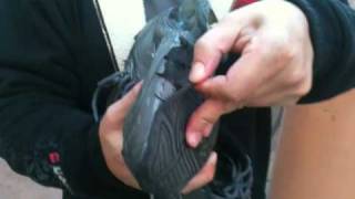 EOL do meu Reebok