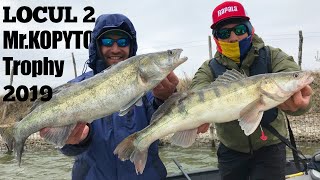 Pescuit la salau. La 4cm de locul 1. Mr. Kopyto Trophy 2019 - Cupa Ligii