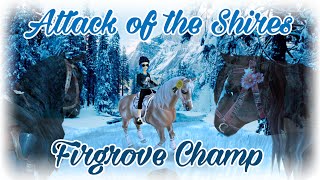 ATTACK OF THE SHIRES Firgrove Champ Star Stable