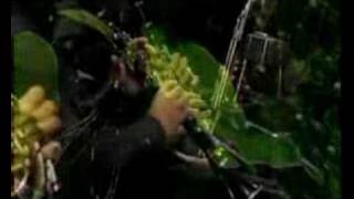 Animals Carnival The Cuckoo part 12