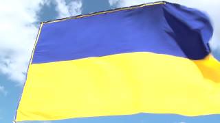 Флаг України Украины футаж