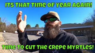 Have You Been Doing This All Wrong? Pruning Crepe Myrtles Not Crepe Murder!