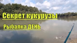 Рыбалка р.Протока-Кубань в августе!Что за РЫБА?
