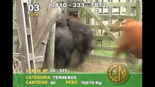 CyM 21-3-13 - Lote 0003