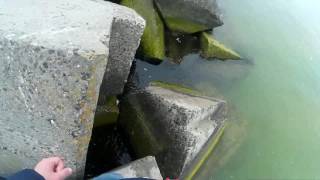 Морская Рыбалка Одесса Апрель 2017/Sea Fishing Odessa April 2017