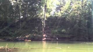 Rope Swing Elk River