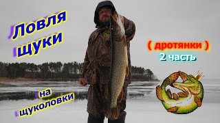 Ловля щуки на щуколовки ( дротянки ) 2 часть.