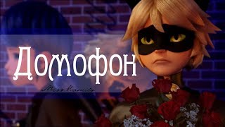 Домофон ␥ ?Леди Баг и Супер Кот?␥ На конкурс канал  Veronika Wolf