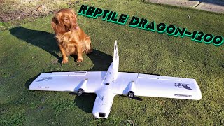 REPTILE DRAGON-1200 Раскаробинг-сборинг.