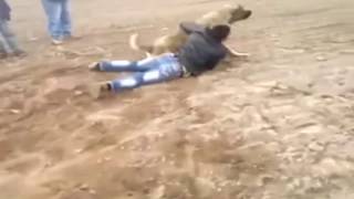 KaNGaL vs Owner - takes his owner with him
