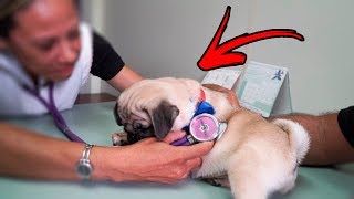 JACK ESTÁ DOENTE ? ?