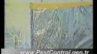 PestControl - Haşere ve Böceklere Kesin Çözüm (Fare)