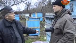 7 Первый точок