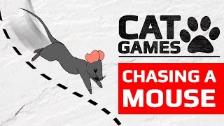CAT GAMES - ? CHASING A MOUSE (ENTERTAINMENT VIDEOS FOR CATS TO WATCH) 60FPS