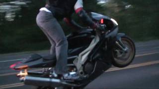 aprilia rsv mille wheelie