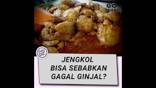 JENGKOL BISA SEBABKAN GAGAL GINJAL?