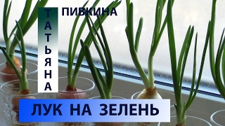 Домашний огород (ч.19). Лук на зелень с Татьяной Пивкиной. ФЕВРАЛЬ 2017