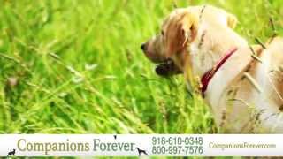 Companions Forever Pet Memorial | Memorial & Cremation Services for Pets in Tulsa, OK